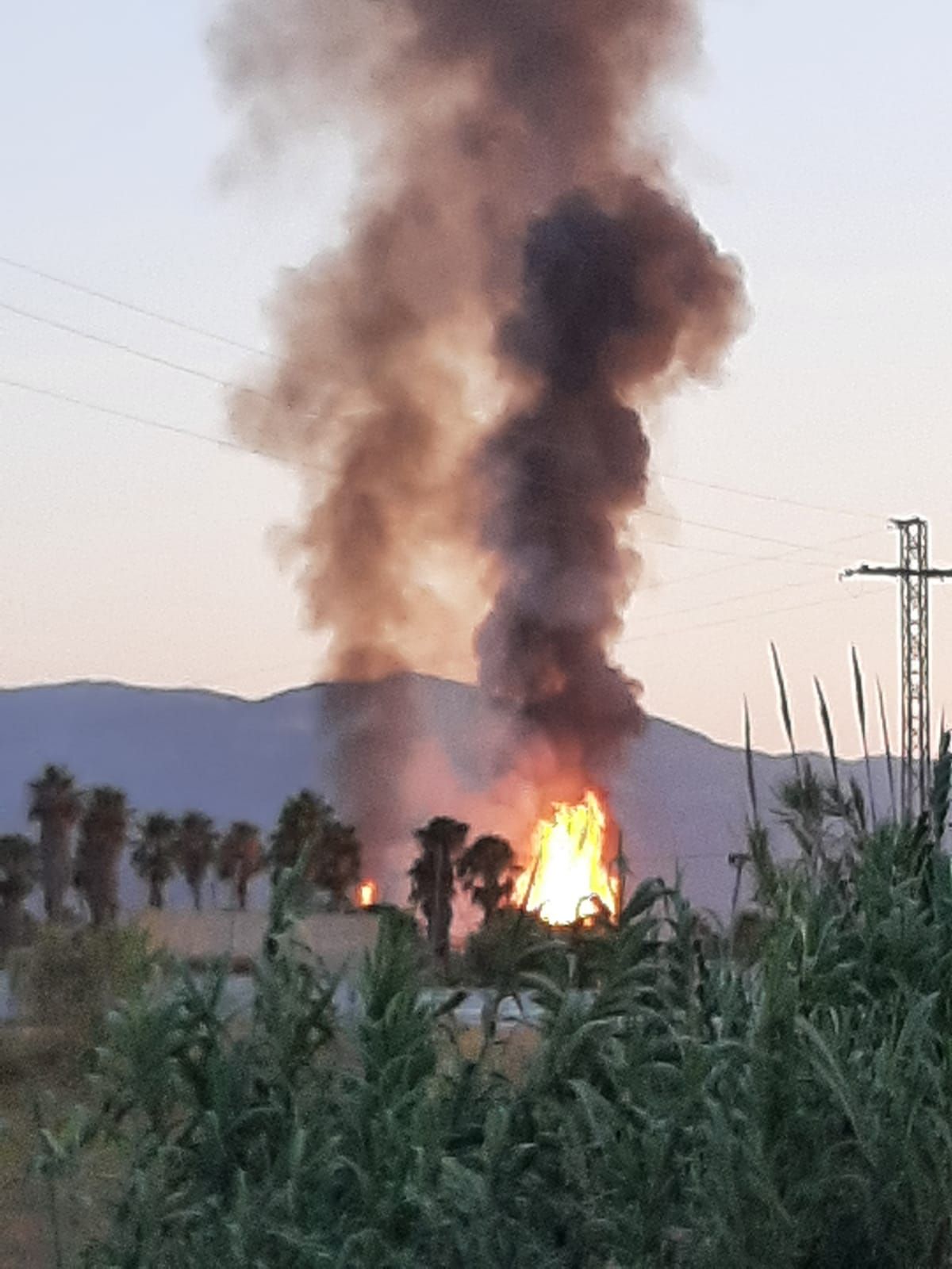 Una gran columna de humo levanta las alarmas por dos incendios declarados en un palmeral de Cullera