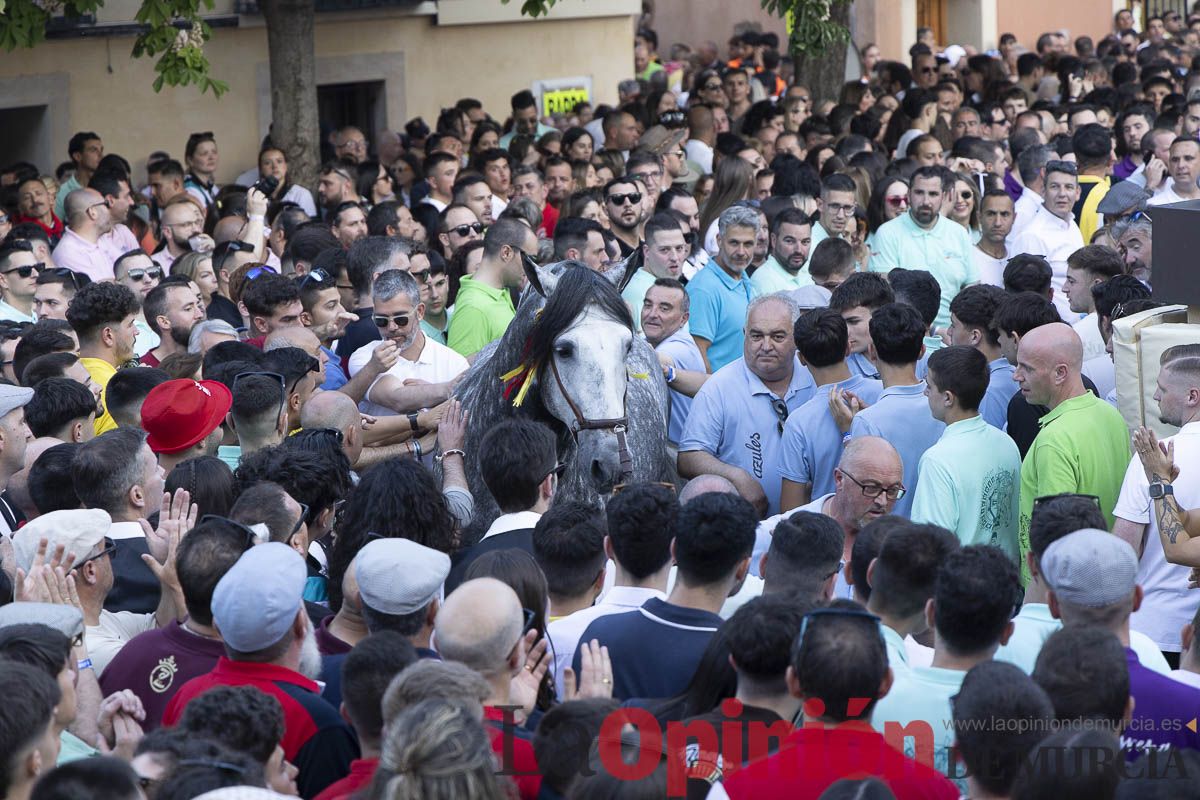 Fiestas de Caravaca | Entrega de premios del concurso morfológico