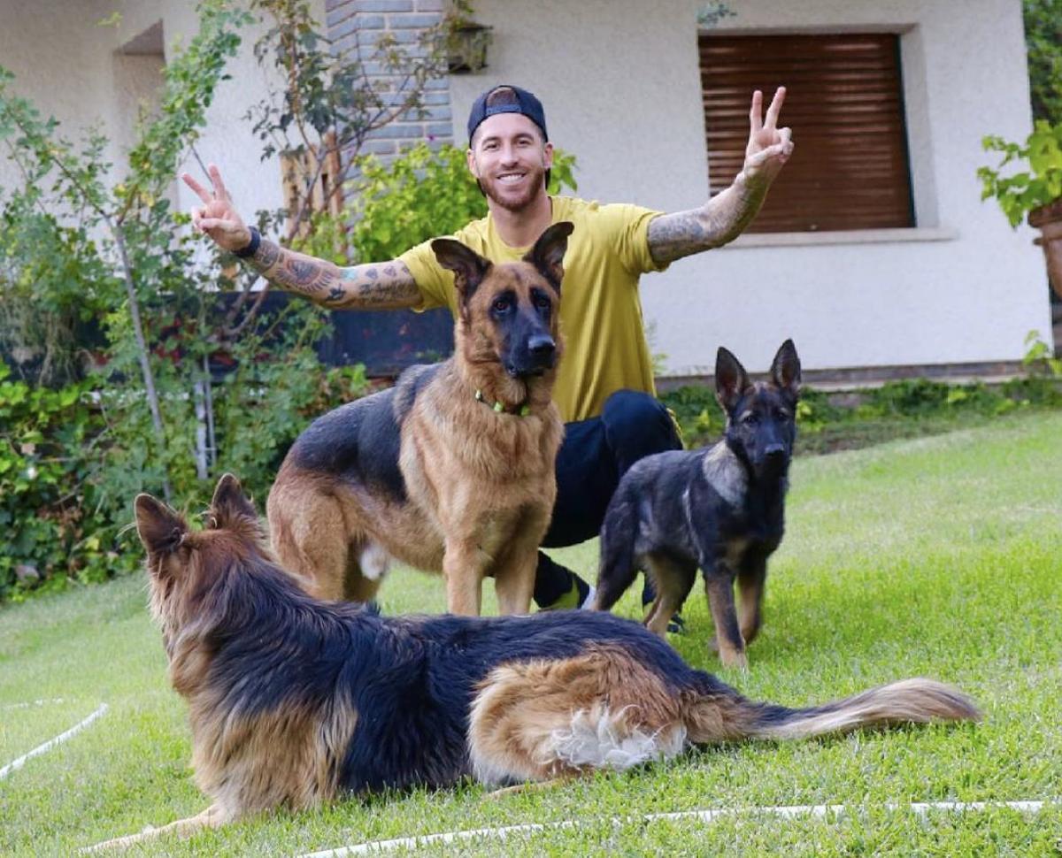 Sergio Ramos es un gran amante de los animales