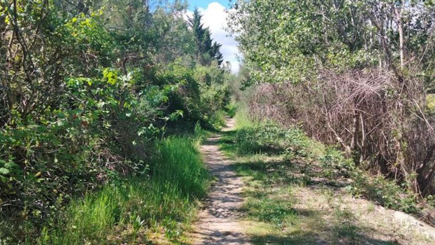 Avanzan los trabajos para «integrar» el río Arba a su paso por Ejea