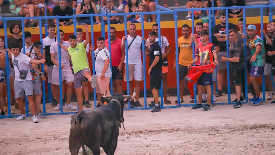 Dos nuevos sustos por las cogidas de una vaquilla en las fiestas del Moralet