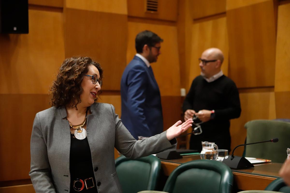 Los concejales de Vox en el Ayuntamiento de Zaragoza.