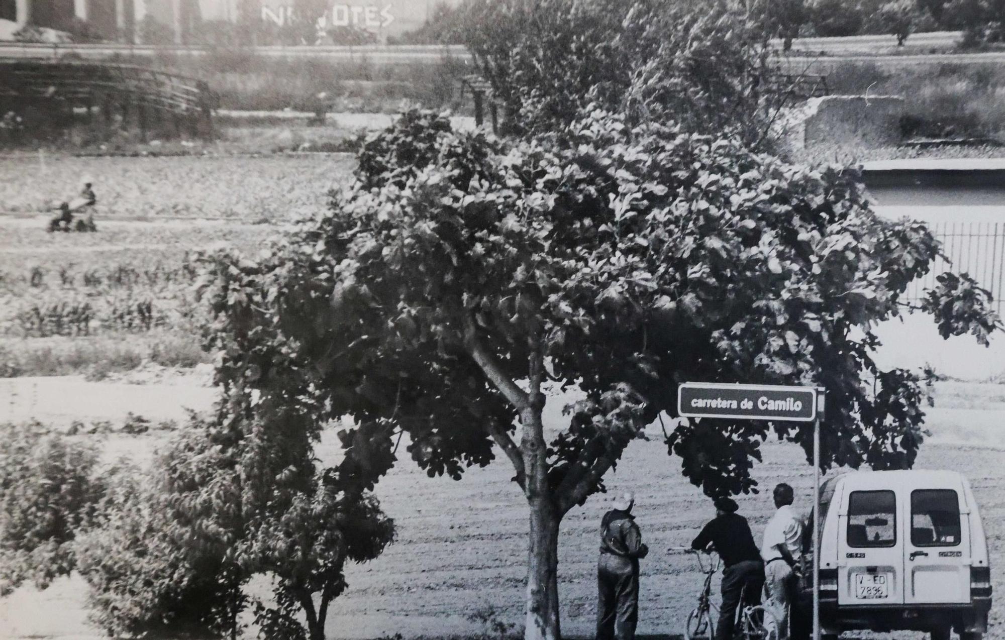 La Valencia desaparecida: Todo esto antes era huerta