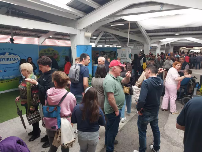 En imágenes: Sábado de lleno en la Feria de Muestras de Tineo