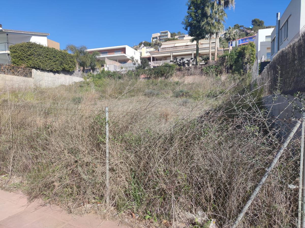 El solar denunciado está ubicado en la calle El Castaño de Torre Bellver.