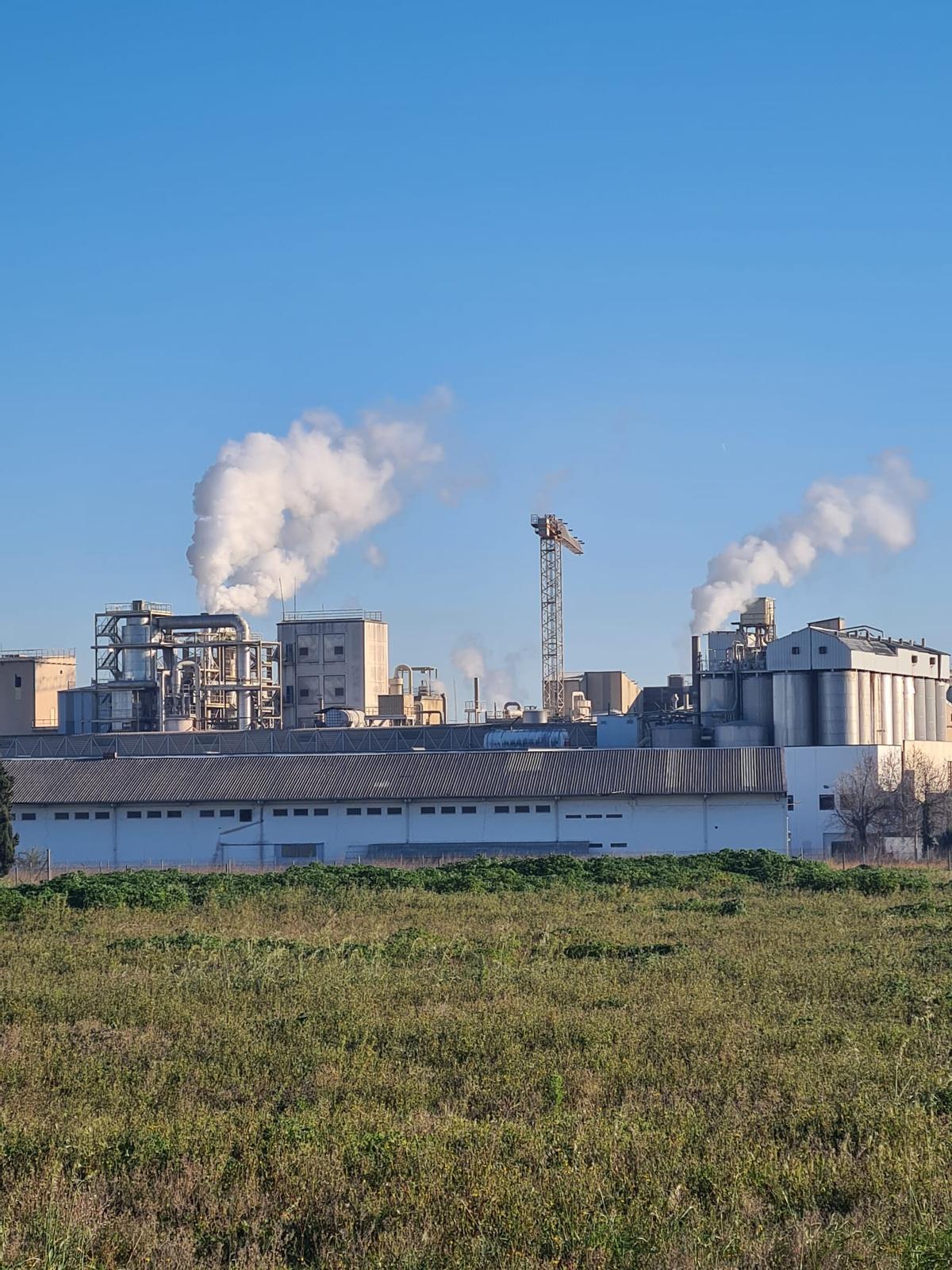 La actividad de la industria de transformación de maíz genera constantes emisiones de humos.