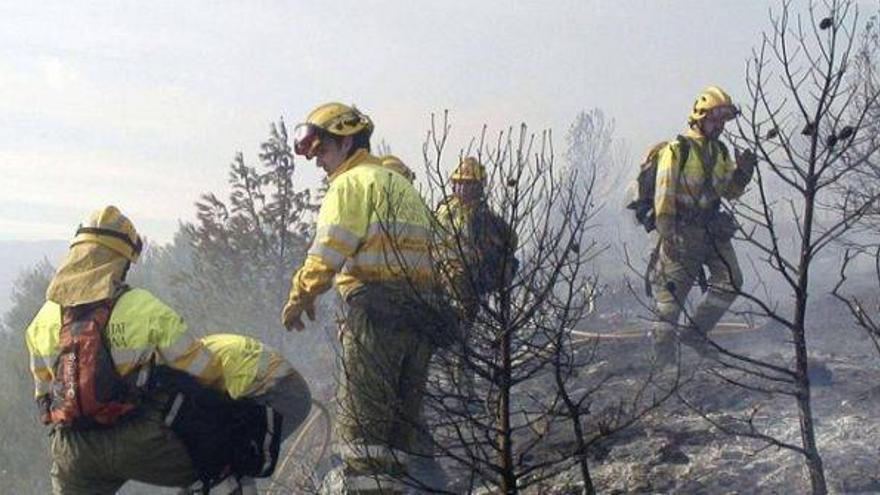 Un incendio arrasa casi 200 hectáreas de pinar en Castellón