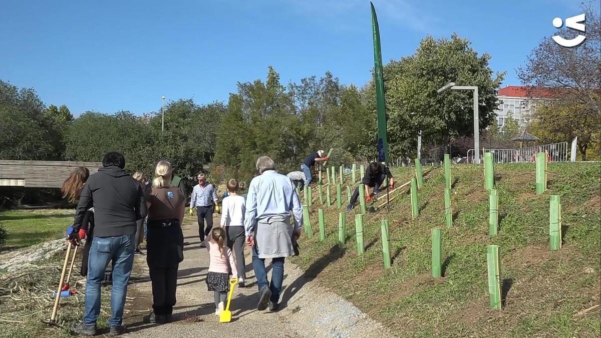 Jornada plantar árboles Viladecans