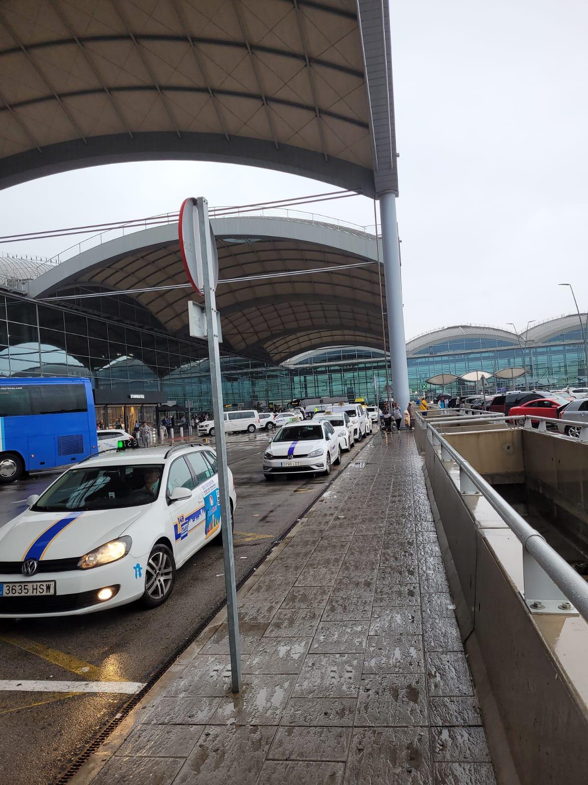 Taxis de Alicante en la terminal, a la espera de turistas que hayan precontratado el servicio.