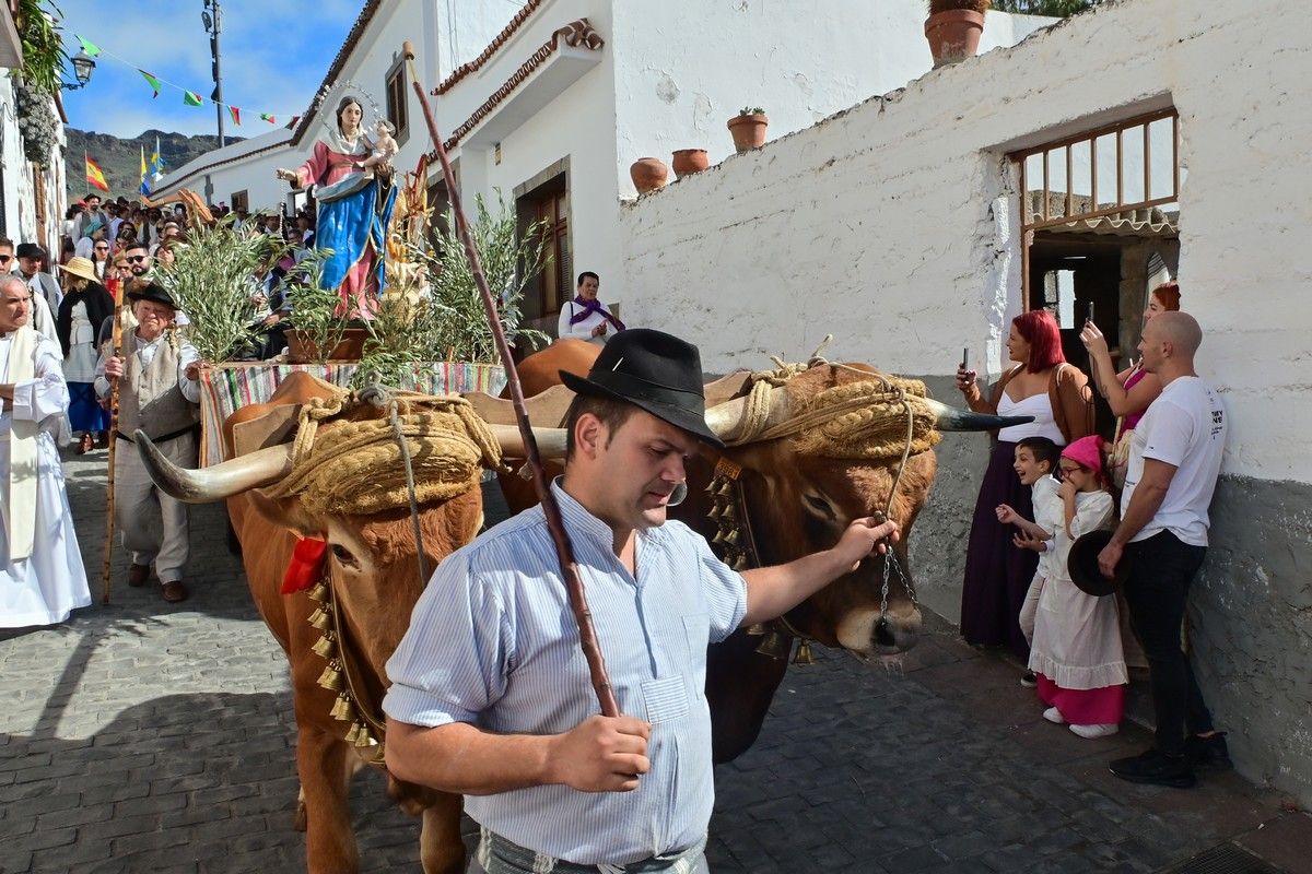 Romería Labradores 2022