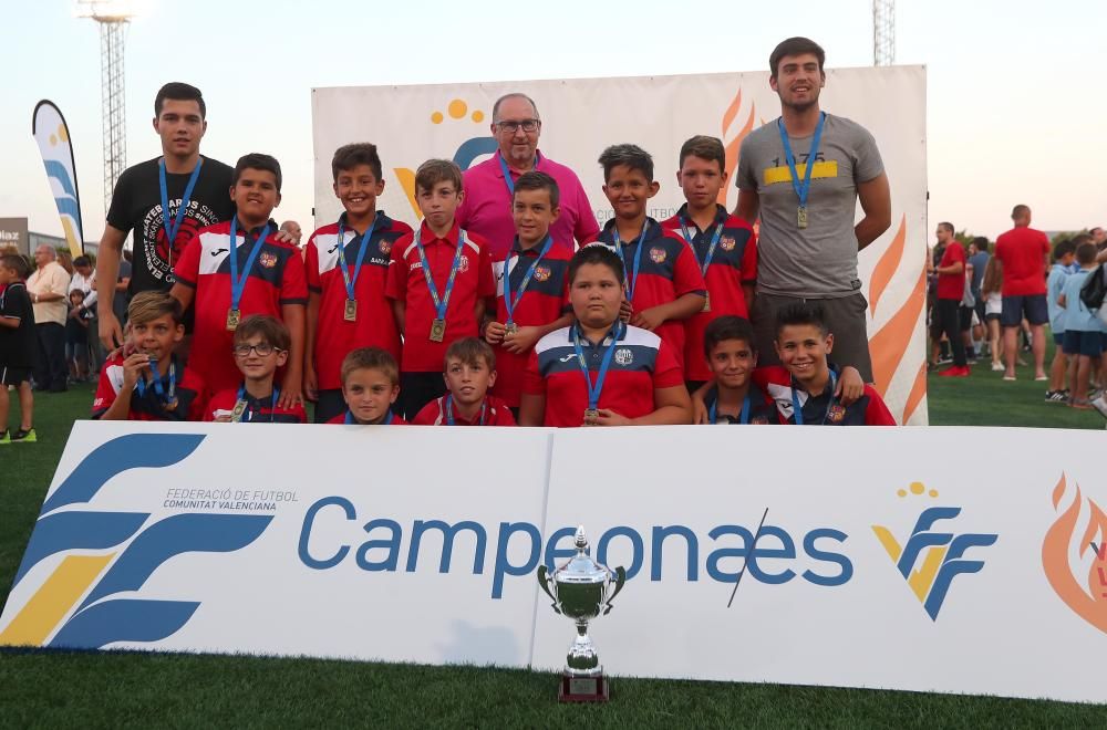 Campeones futbol 8