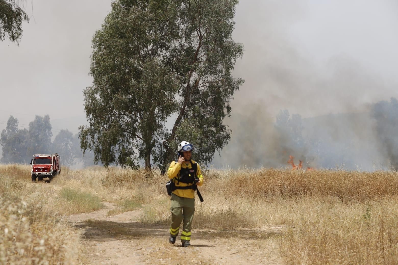 Un incendio de pastos junto al Parque Joyero moviliza a bomberos, Infoca y Policía Local