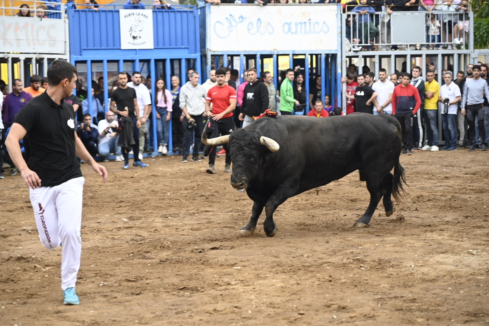 Galería | Las imágenes de la penúltima tarde de toros de las fiestas de Almassora