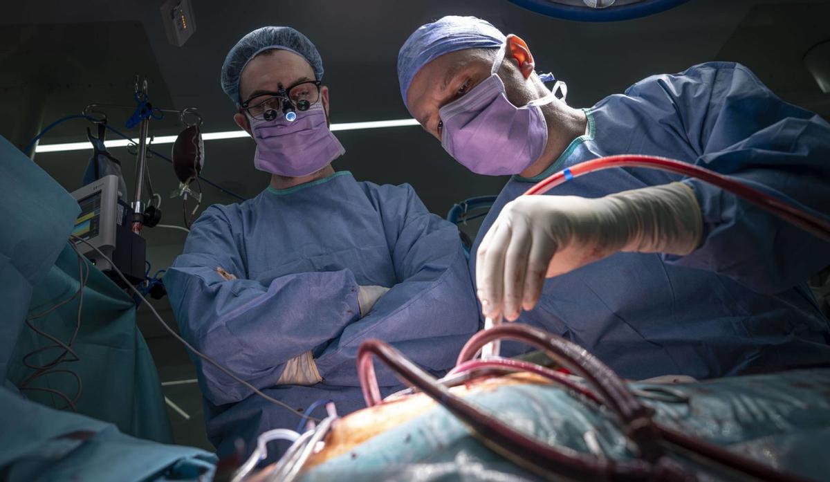 Les negatives a donar òrgans pugen i se situen ja en el 28% aquest 2025 Les negatives a donar òrgans pugen i se situen ja en el 28% aquest 2025