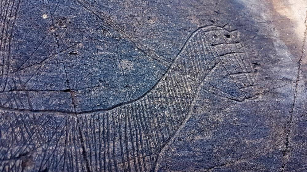 Descobreixen a la Vall d'Àssua centenars de gravats a la pedra de l'Edat mitjana