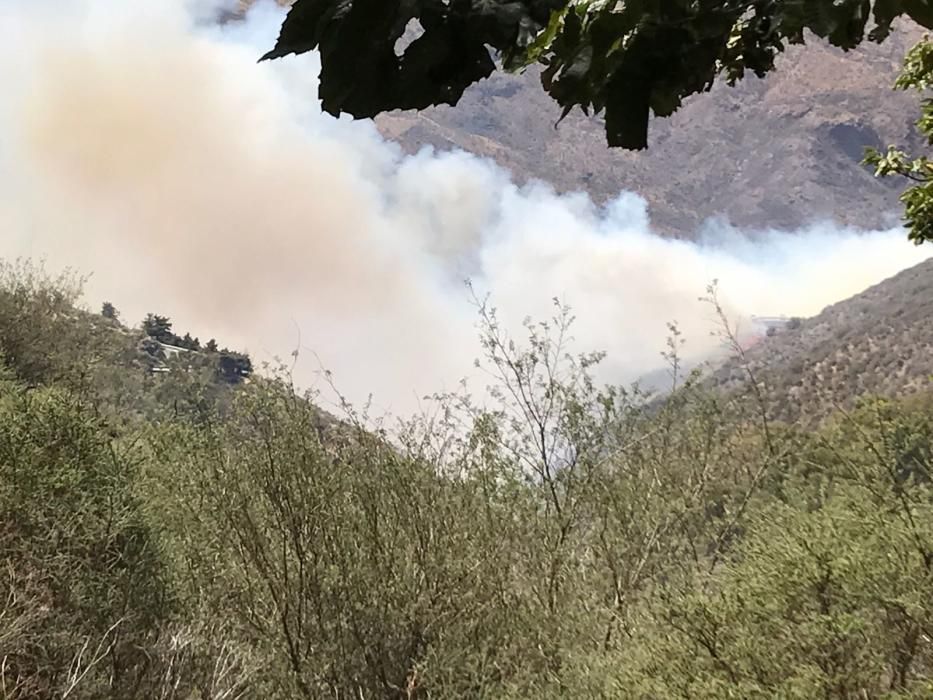 Incendio en Tejeda