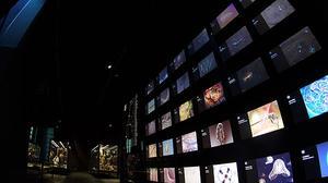 El Museu de Ciències Naturals de Barcelona inaugura l’exposició ’Planeta vida’.