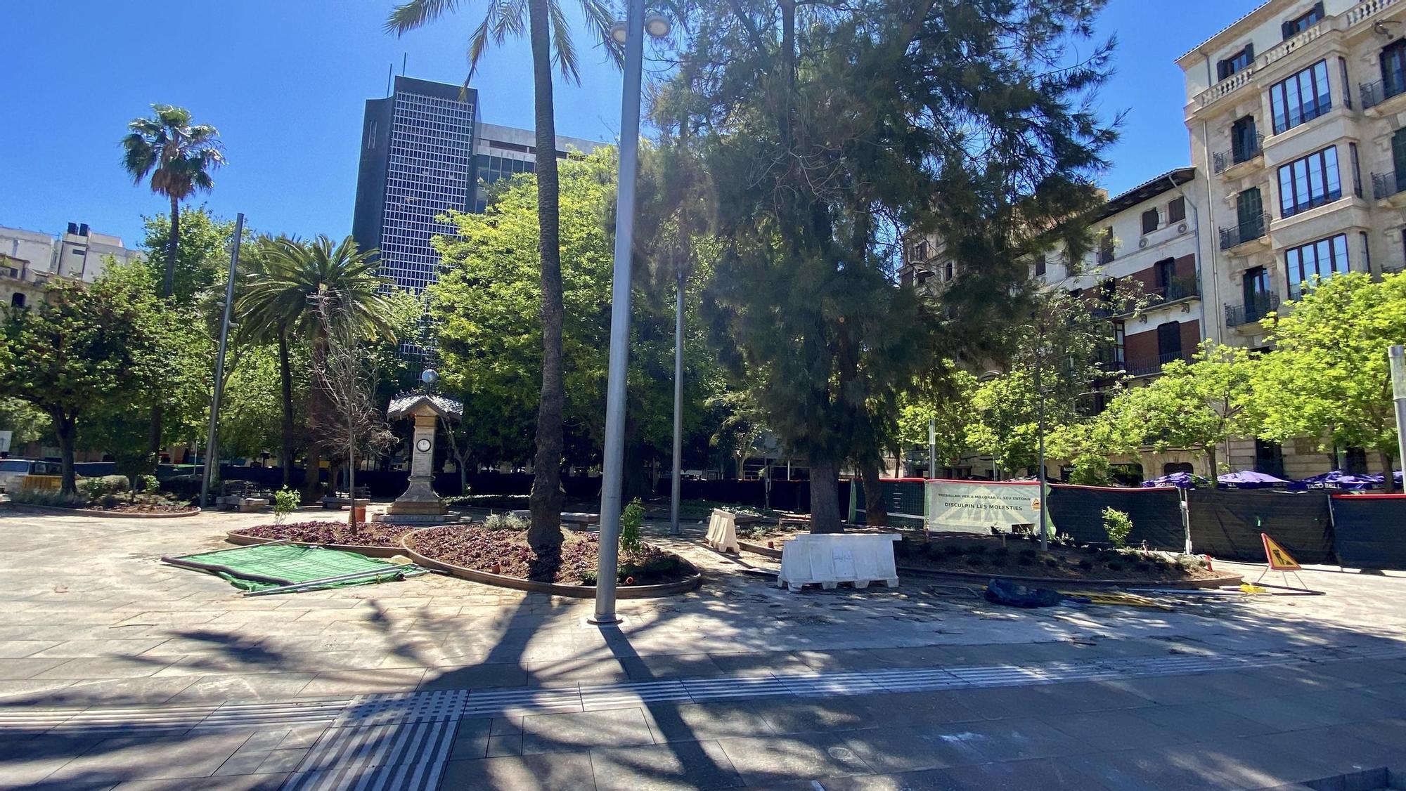 Las fotos de la siembra de 6.700 plantas y flores en la plaza de España