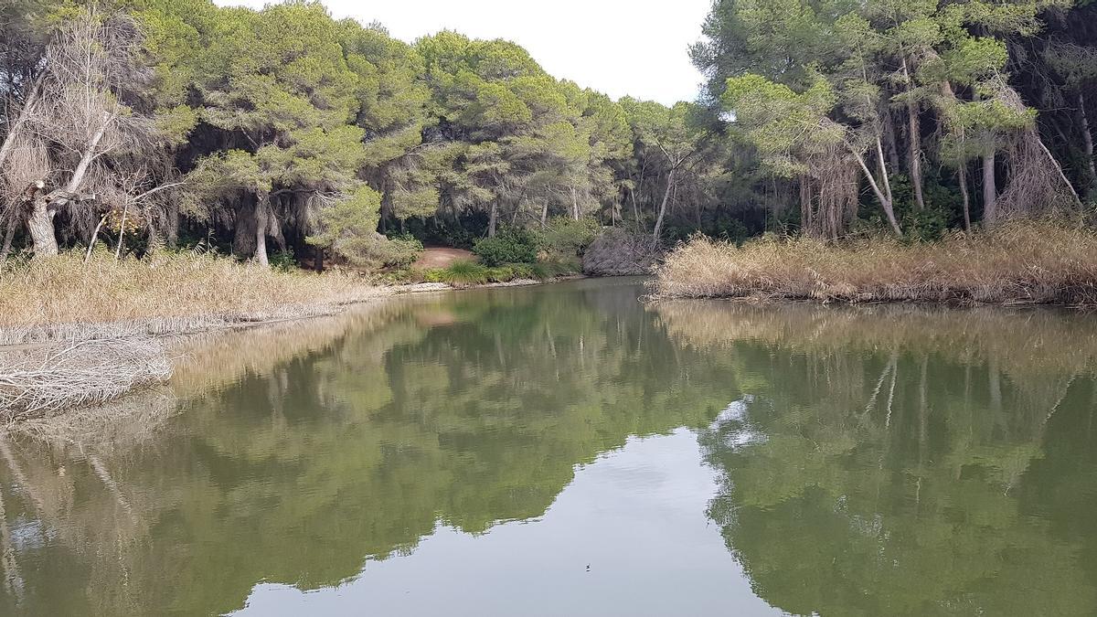 Parque Natural del Turia.