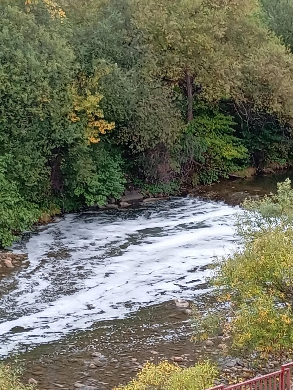 El vertido con espumpas que mató a decenas de peces, el pasado mes de noviembre a la altura de El Entrego.
