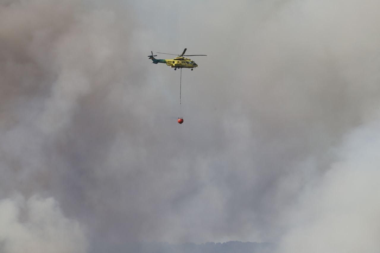 Incendio forestal en Cerro Muriano