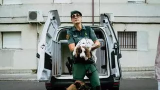 Los compañeros fieles de la Guardia Civil que descubren con su fino olfato lo que está oculto