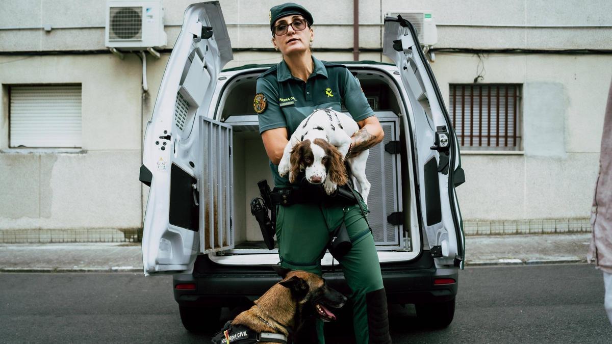 Agentes de cuatro patas: los perros policía de la Guardia Civil