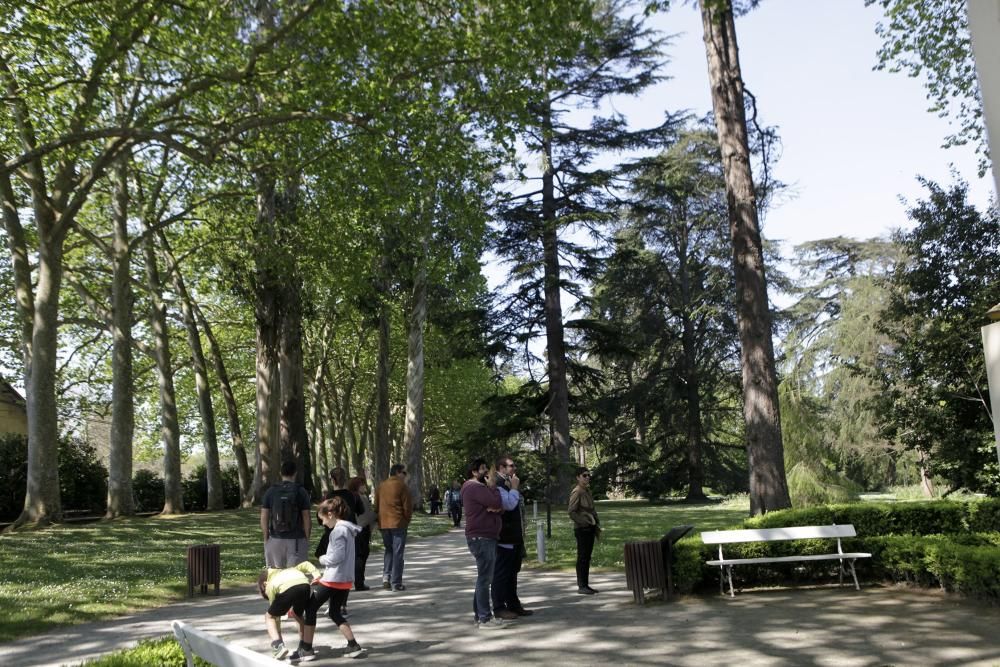 El Botánico celebra su 15 cumpleaños