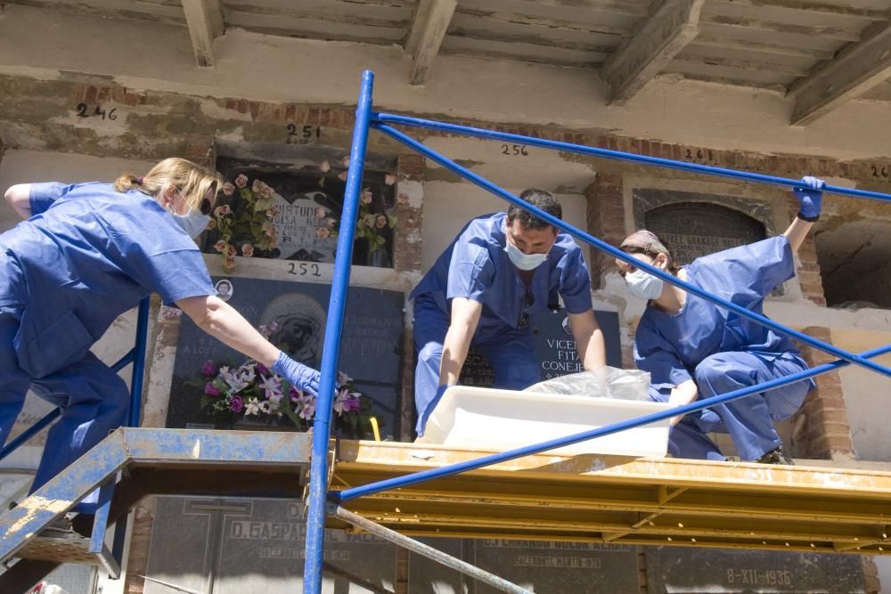 Exhumación fusilados de la guerra civil en el cementerio de Ontinyent