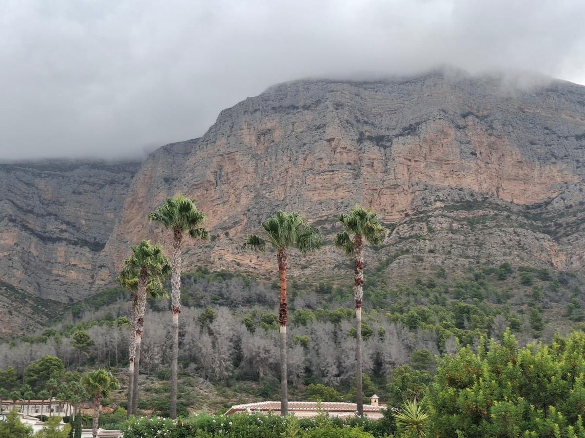 El bochorno abraza el Montgó: la ladera de Xàbia llegó el martes a 40º (imágenes)