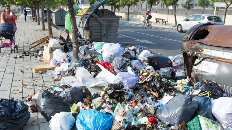 Imagen del estado de los contenedores de Alicante del pasado viernes