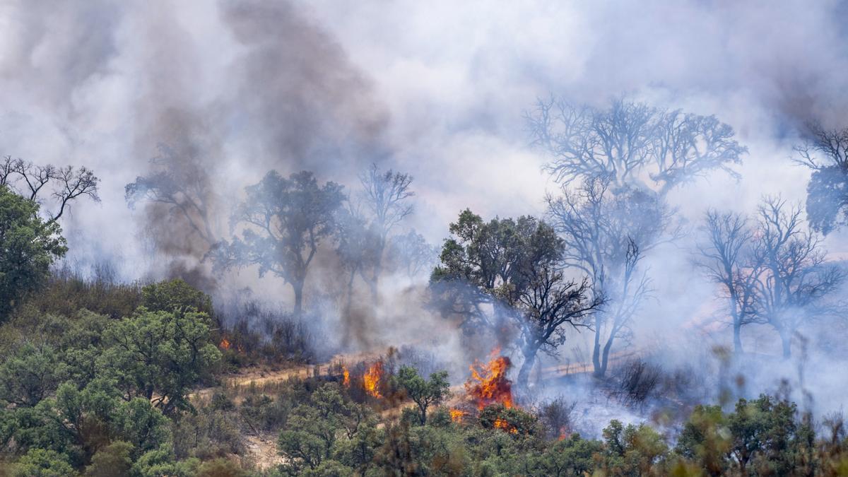 Imagen del incendio en el Parque Nacional de Monfragüe.