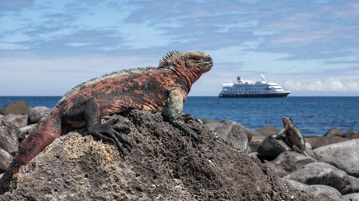 Galápagos: donde no todos llegan ¡Participa en nuestro concurso y gana el viaje de tu vida!