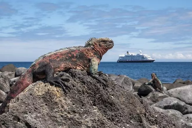 Galápagos: donde no todos llegan ¡Participa en nuestro concurso y gana el viaje de tu vida!