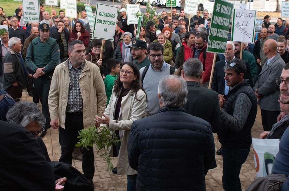 Manifestación por la Xylella en Altea