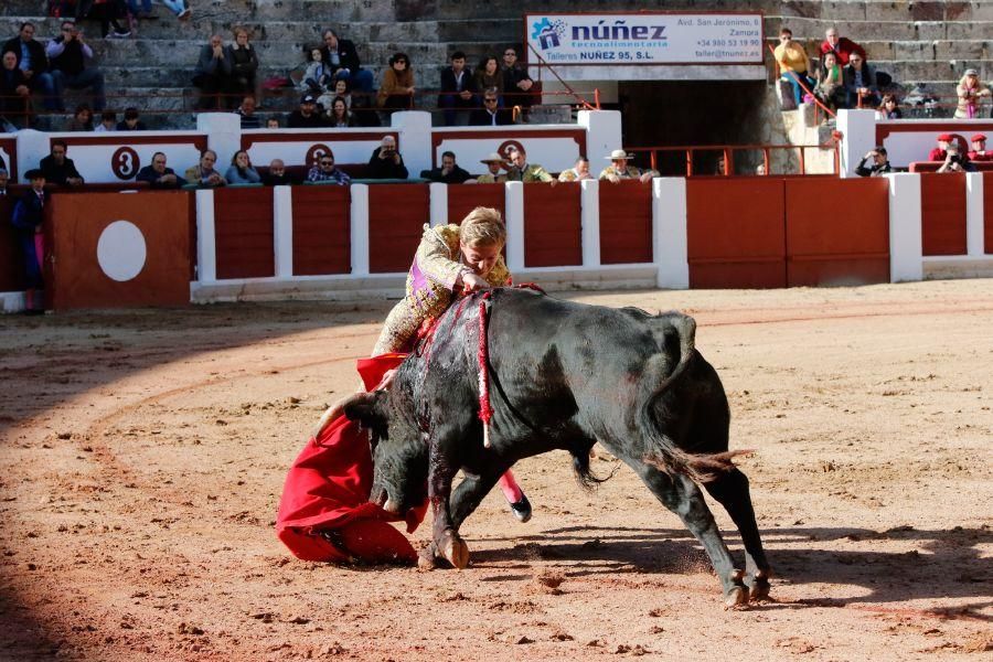 Tarde de toros en Zamora