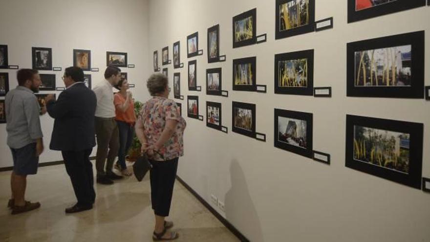 Las mejores imágenes de la Venida en una muestra