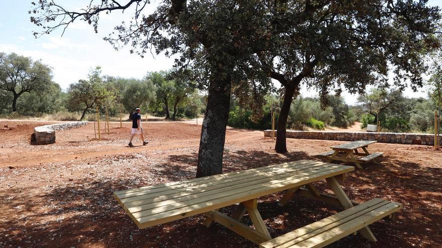 El CC La Sierra organiza una jornada de limpieza en el parque de El Patriarca