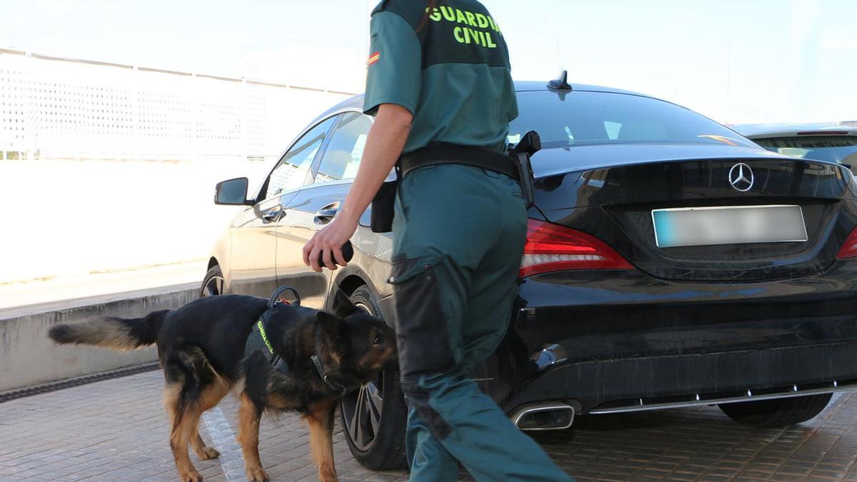 Ein Drogenspürhund alarmierte die Polizei.