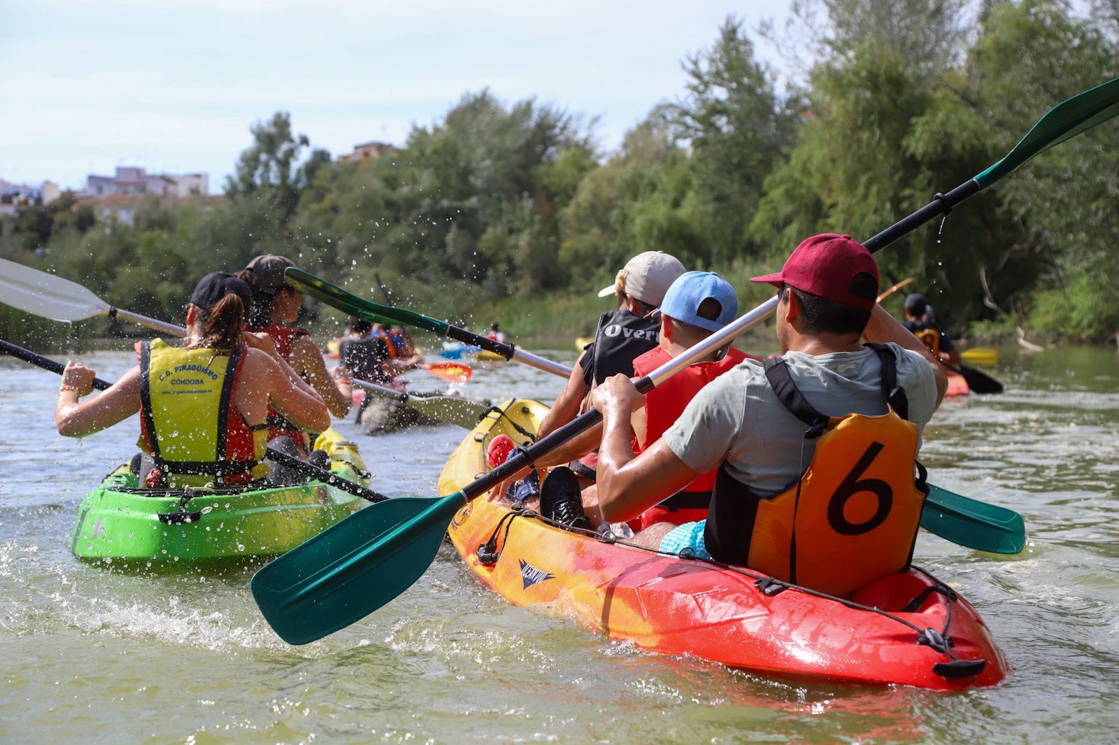 El caimán se echa al río