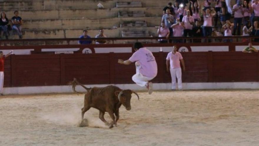 Recortadores de toros