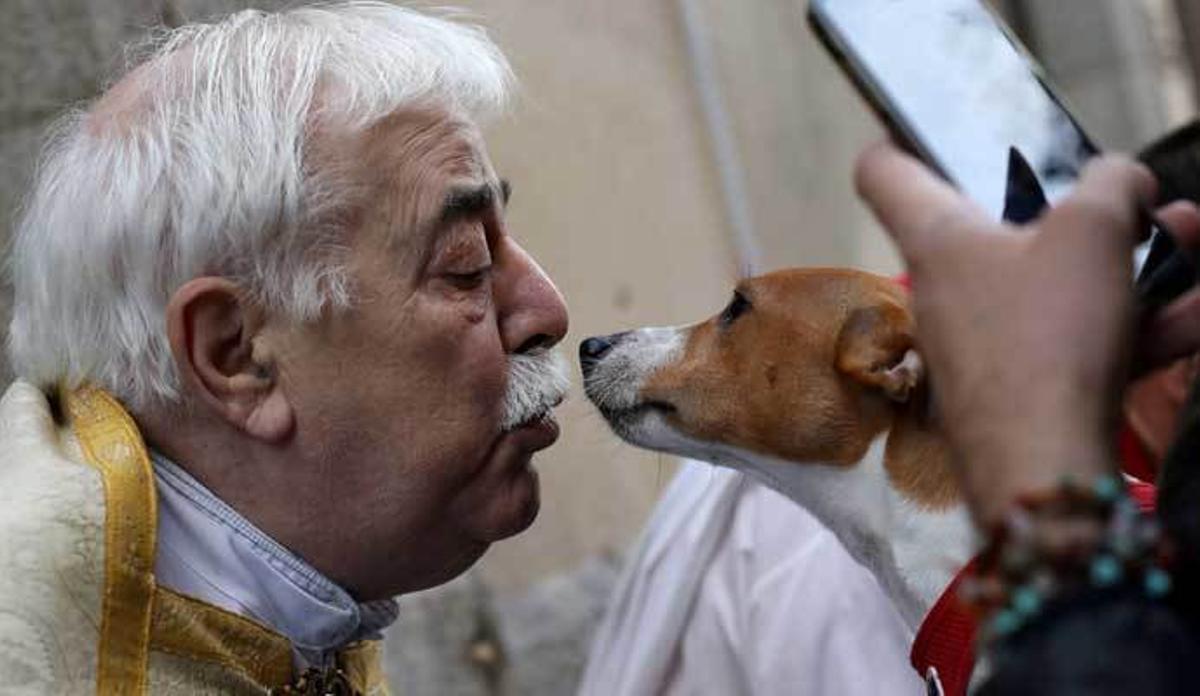 ¿Por qué San Antón es el patrón de los animales?