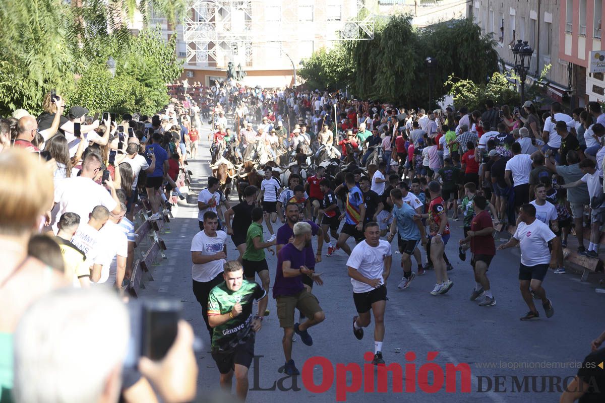 Quinto encierro de las Fiestas de Moratalla