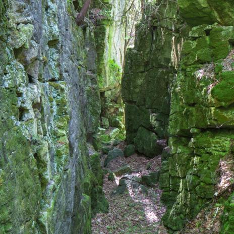 Todos los senderistas coinciden: esta es la ruta más bonita de Navarra