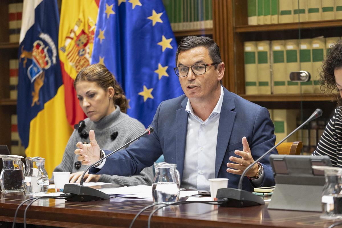 El consejero de Obras Públicas y Vivienda, Pablo Rodríguez, durante su comparecencia en el Parlamento.