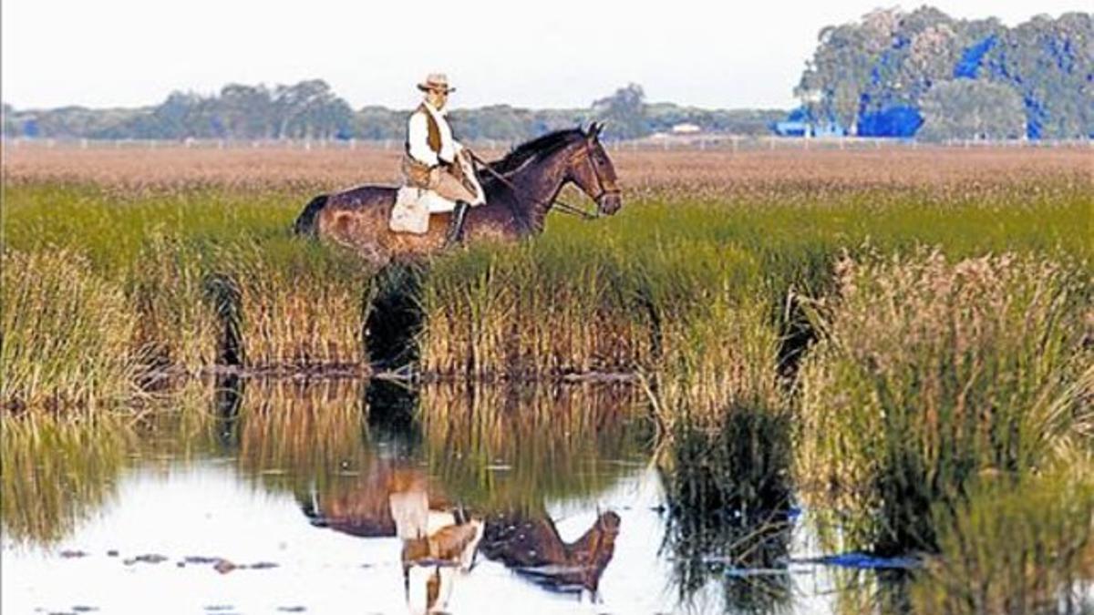 Un guarda de Doñana patrulla por las marismas de la Rocina.