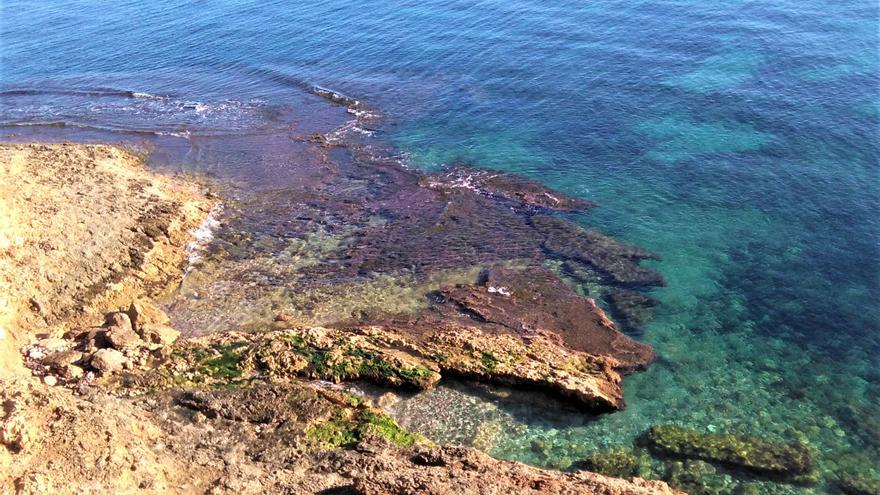 Un informe concluye la excelente calidad de las aguas de la costa oriolana