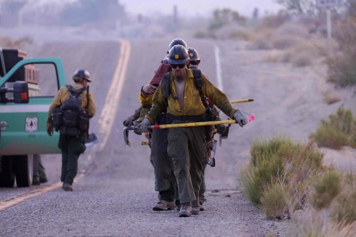 Arde la Reserva Nacional de Mojave entre California a Nevada