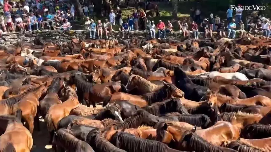 Tercer curro en la Serra da Groba