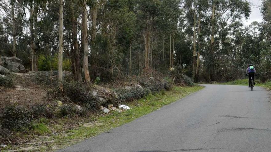 La finca que acogerá la planta de reciclaje de conchas marinas. // Noé Parga